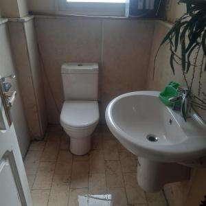Centrally Located Fully Equipped Cairo Flat