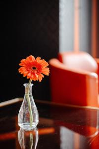 Maisons d'hotes Chateau de Bayssan : photos des chambres