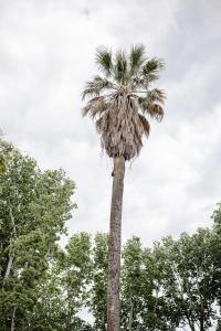 Maisons d'hotes Chateau de Bayssan : photos des chambres