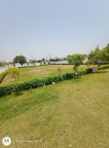 Healthy Vibes Guest House