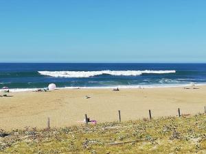 Appartements Joli T3 Pays Basque Tarnos Landes : Appartement Supérieur 2 Chambres 