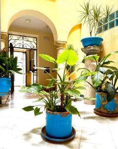 Hotel Conde de Cárdenas