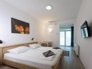Double Room room in Hotel Platán