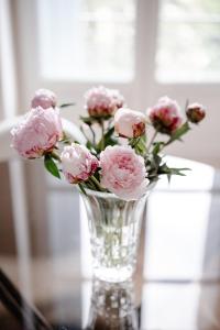 Maisons d'hotes Chateau de Bayssan : photos des chambres