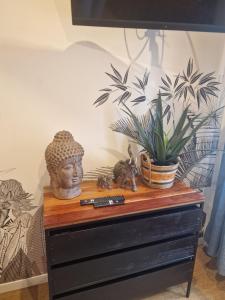 Appart'hotels APPART'HOTEL CASA Patricia : photos des chambres