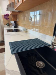 Home Away From Home - Zorilor