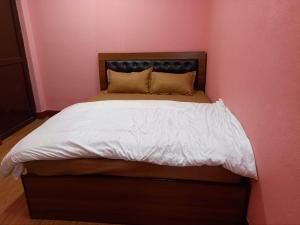 Pragati Homestay