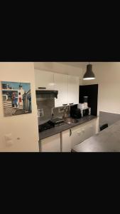 Appartements Cozy studio in Neuilly-sur-Marne : photos des chambres