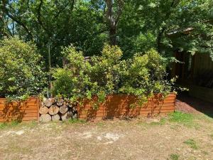 Maisons de vacances La cabane dans les arbres : photos des chambres