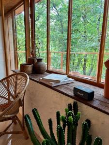 Maisons de vacances La cabane dans les arbres : photos des chambres