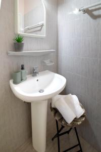 George & Sofia Studios