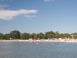 Maisons de vacances La Cabane de Taussat proche de la plage : photos des chambres