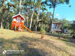 Studio Árvore da vida