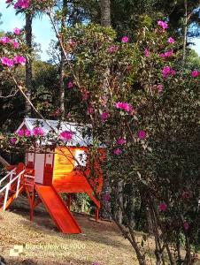 Studio Árvore da vida