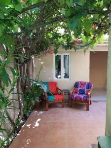 Maisons de vacances Gite Le Gite Sanary-sur-mer centre ville. : photos des chambres