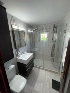 Home Away From Home - Zorilor