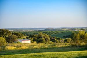 Monte da Vista Alegre