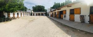 Studio au milieu des chevaux