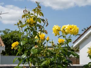 Villas LA CASA DE BABOU : photos des chambres