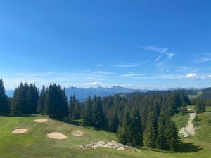 Chalets Chalet Monarch - Les Carroz - Sauna, Spa & vue Montagnes : photos des chambres