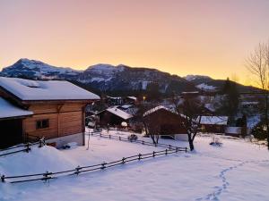 Chalet Monarch - Les Carroz - Sauna, Spa & vue Montagnes