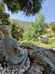 Appartements les gites du Mas ANNA : photos des chambres