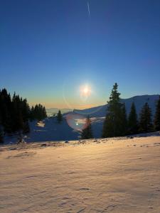 DOMŽALSKI DOM na Veliki Planini