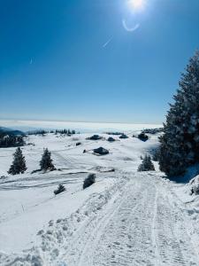 DOMŽALSKI DOM na Veliki Planini