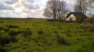 Kleine Buurt aan de Weide