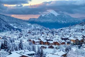 Chalets Chalet Monarch - Les Carroz - Sauna, Spa & vue Montagnes : Chalet