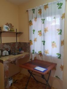 Elsas Place Tagaytay Transient House