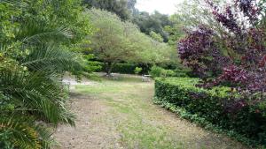 Maisons de vacances Le Clos du Loup : photos des chambres