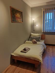 Sun and river Apartments