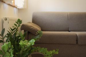One-Bedroom Standard Apartment