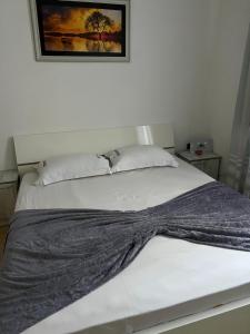 Dibra Home near City Center of Shkodra