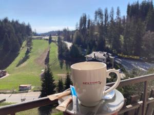 Апартаменти Свети Трифон