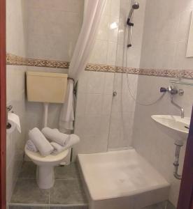 Pansion Ivana studios