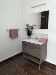 Appartements Grande maison en lieu calme proche nature Lacs, foret, Parcs : photos des chambres
