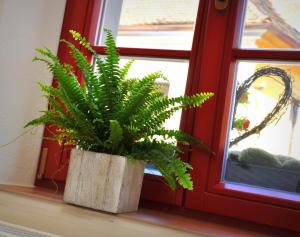 Apartmány U Vavřince