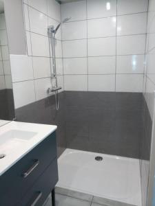 Appartements Beautiful very spacious studio : photos des chambres