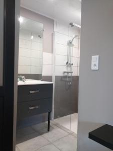 Appartements Beautiful very spacious studio : photos des chambres