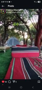 Maple forest park cabins