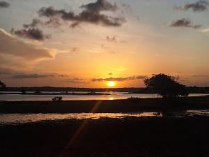 Habitat Marajó Hostel e Turismo