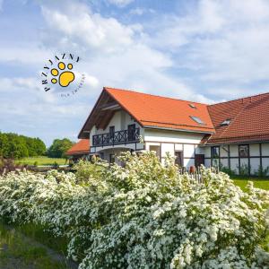 Storczykowe Wzgórze