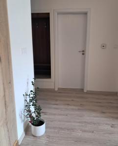 Apartmán Vitalis - Rezidencia Amélia