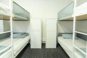 Mild Elephants Hostel