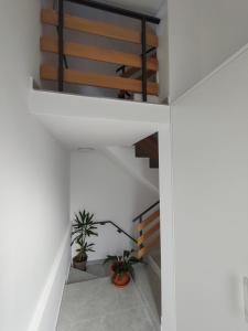 Spacious 2-bedroom apartment with terrace sea view