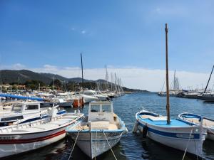 Appartements Charmant duplex vue mer panoramique sur le Golfe de Giens avec piscine : photos des chambres
