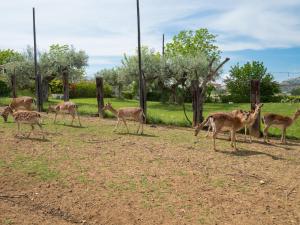 Apartment Bilo Giallo by Interhome