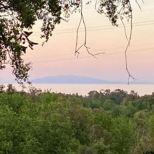 Maisons de vacances Maison au calme piscine mer au coeur de la nature U Nuciolu : photos des chambres
